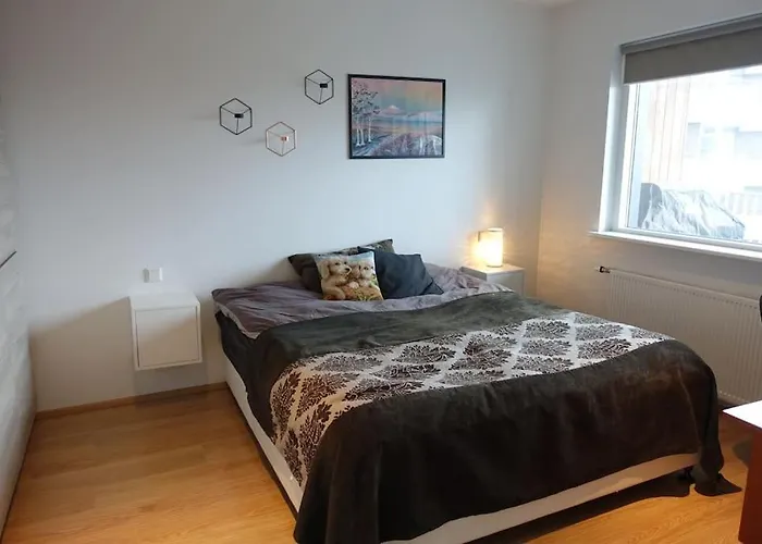 Beautiful Flat In Downtown Reykjavik With A Veiw