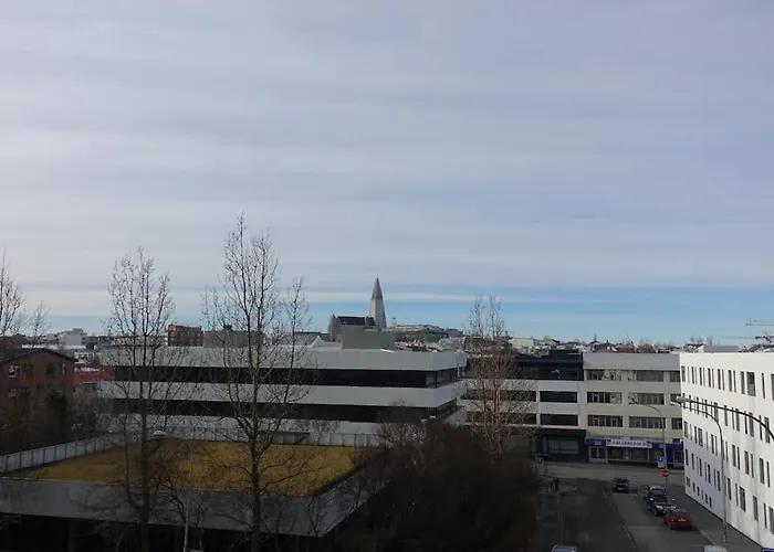 Beautiful Flat In Downtown Reykjavik With A Veiw